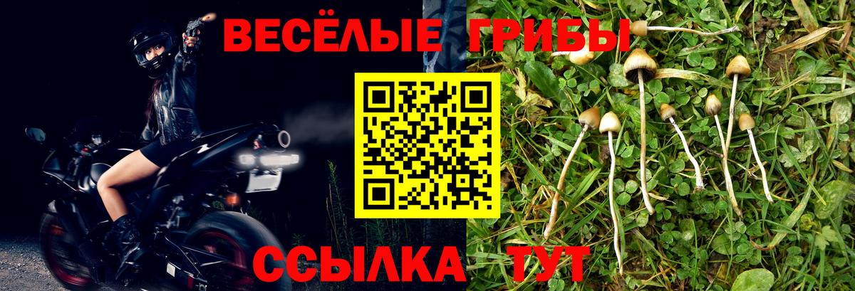 Галлюциногенные грибы GOLDEN TEACHER Шахты