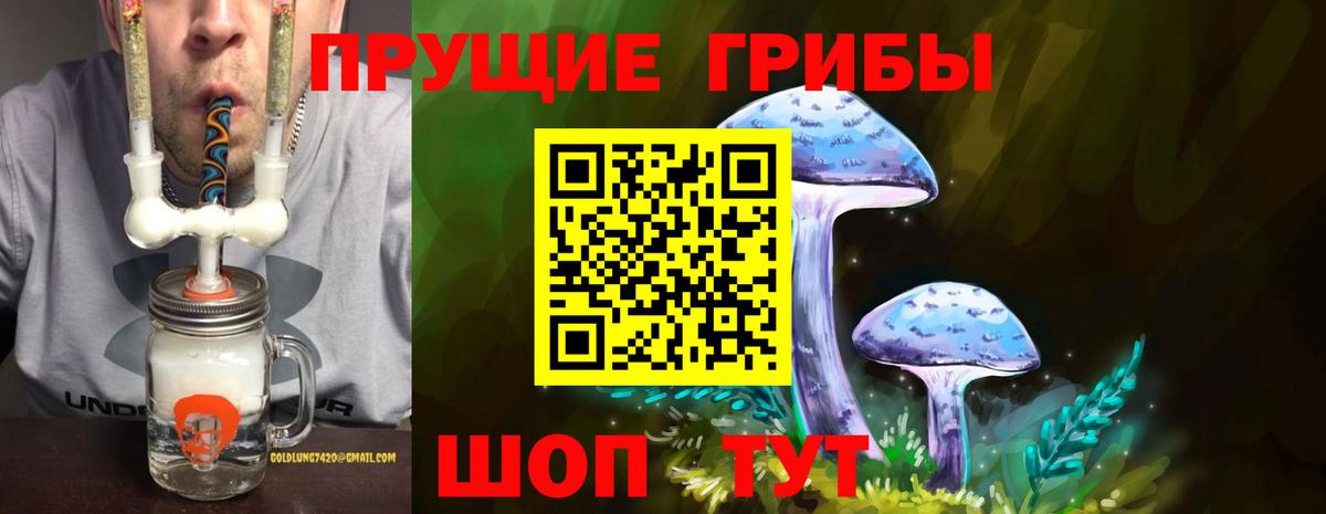 Шахты  Галлюциногенные грибы Psilocybine cubensis  Вход с VPN 