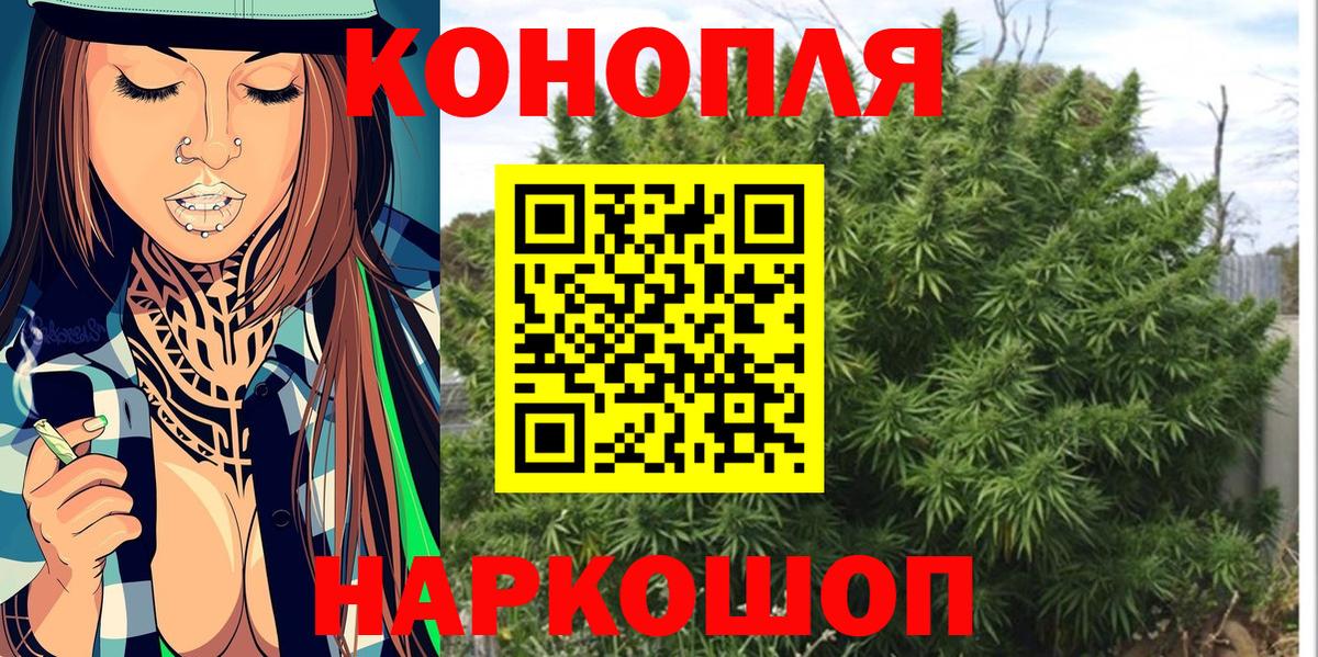 Канабис гибрид Шахты